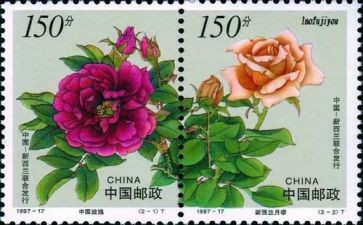 邮票的教案8篇