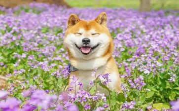 一件最有趣的事作文300字5篇