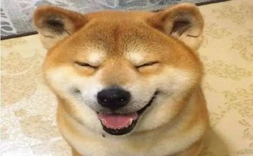 有趣的事作文600字6篇