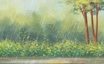 雨来的英雄读后感模板5篇