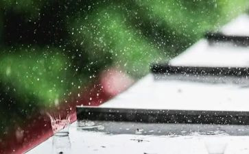 雨的作文300字参考5篇