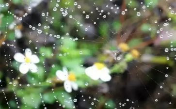 幼儿雷雨教案8篇