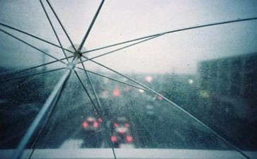 雨的教育活动方案最新5篇