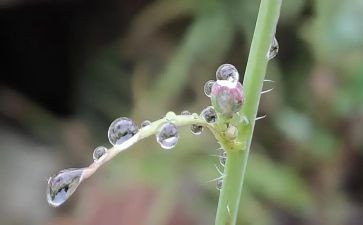 雨的故事演讲稿最新7篇