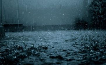 雨中的歌读后感参考5篇