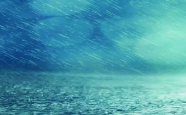 雨的作文200字优质6篇