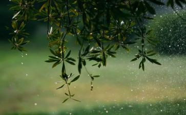 雨天作文400字最新8篇