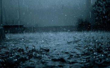 雨的故事演讲稿优秀6篇