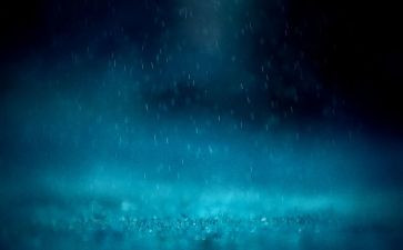 雨中的作文500字作文8篇