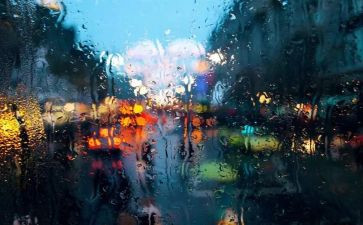 雨的四季作文300字8篇