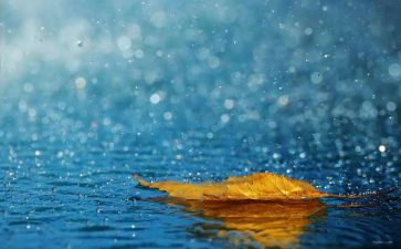 雨天的书心得体会最新7篇