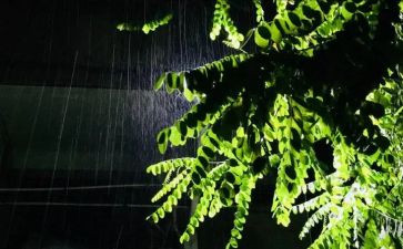 写秋雨的小作文8篇