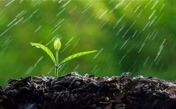 小英雄雨来读后感精选6篇
