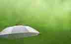 四年级作文雨100字作文5篇