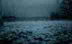 春天的雨演讲稿7篇