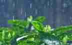 雨的作文200字最新8篇