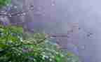 小学二年级描写下雨的作文8篇