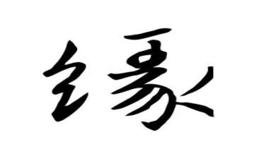 关于缘的演讲稿5篇