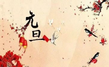 幼儿园元旦班级活动方案5篇