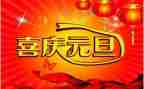 小学元旦活动方案元旦活动方案推荐8篇