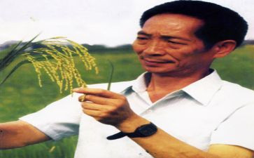 袁隆平的心得体会8篇