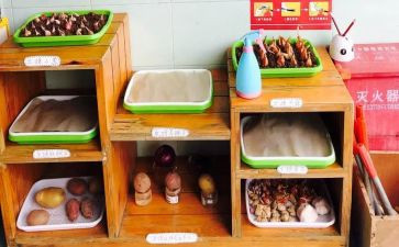 幼儿园培训心得体会范文模板5篇