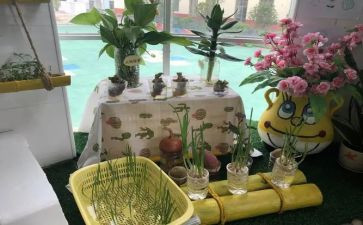 幼儿园培训心得体会总结最新8篇