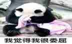 他冤枉了我作文8篇