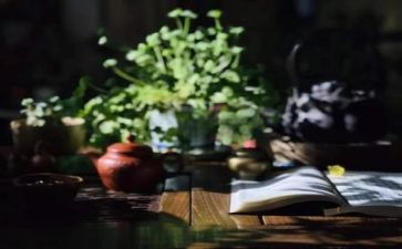 阅读演讲稿最新5篇