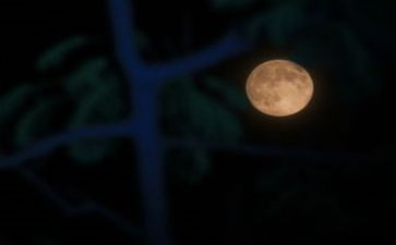 花好月圆迎中秋的演讲稿8篇
