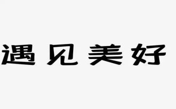 遇见作文500字5篇