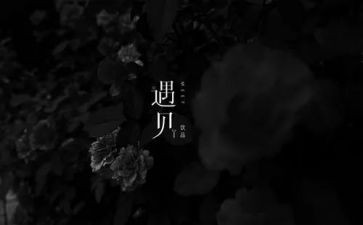 遇见他作文7篇