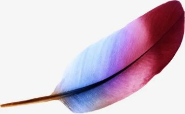 练羽毛球的心得体会最新6篇