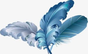 练羽毛球的心得体会优秀5篇