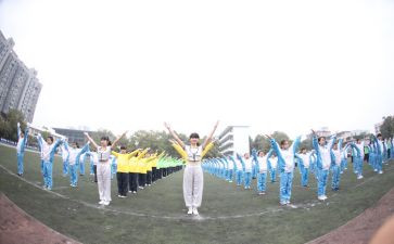 青运会心得体会优秀6篇