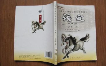 关于学语文的心得体会通用6篇