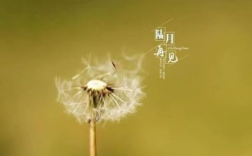 再见2024你好2024演讲稿5篇