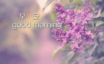 早调查报告范文优秀5篇