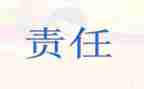 责任与担当的心得体会7篇