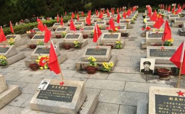 张从顺事迹观后感精选5篇