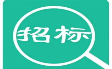 非招标采购工作总结8篇