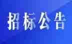 招标代理合同6篇