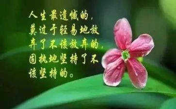 哲理幽默的演讲稿6篇