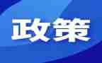 刑与政策课心得体会参考7篇