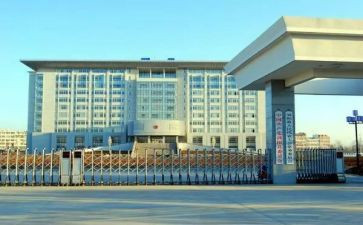 政府的述职报告8篇