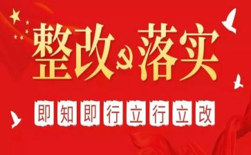 审计整改工作报告6篇