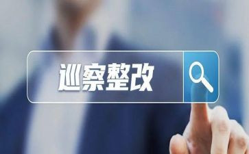 2024村党支部整改报告6篇