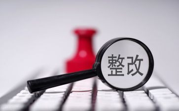 巡视整改报告5篇