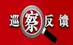 健康码整改报告6篇
