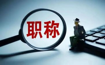 晋升正高级医师工作总结8篇